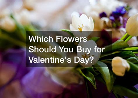 Which Flowers Should You Buy For Valentines Day Life Cover Guide