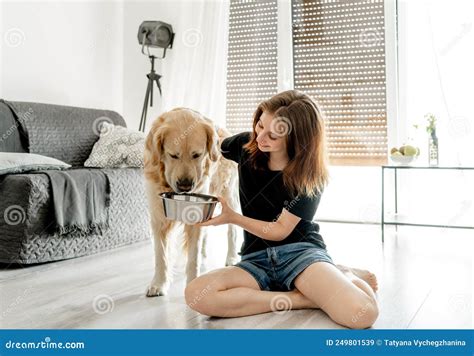 Chica Con Perro Recuperador De Oro Imagen De Archivo Imagen De