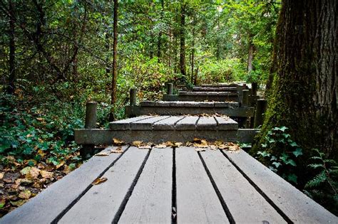 Shoreline Trail Photo | Hiking Photo Contest | Vancouver Trails