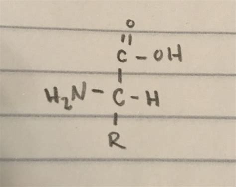 Biochem Chapter Flashcards Quizlet