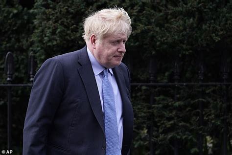 Boris Beware I Know What Its Like To Have Private Messages Leaked Writes Sarah Vine Daily