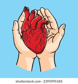 Hand Holding Human Heart Vector Stock Stock Vector (Royalty Free ...