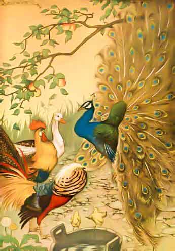 The Peacock Fables Of Aesop