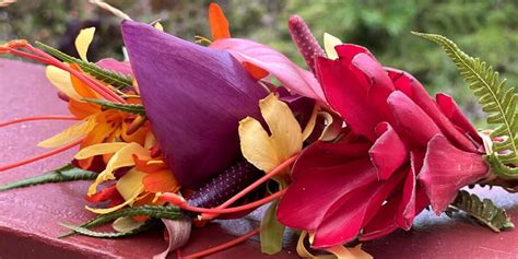 Hawaiian Leis | Facts, Materials, Types, and How To Make Them