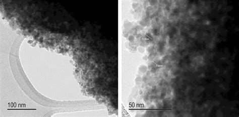 Tem Image Of Oleic Acid Coated γ Fe 2 O 3 Nanoparticles Download Scientific Diagram