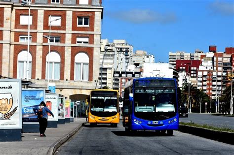 El boleto de colectivo en Mar del Plata aumentó su costo y se esperan