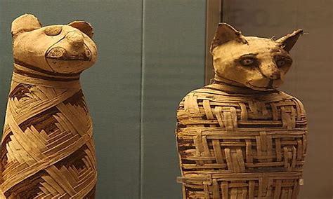 Animals In Ancient Egyptian Society