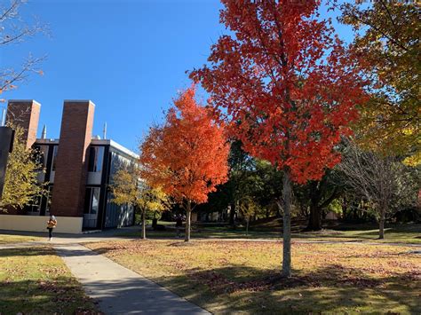 Sidewalk Core Structures Fall Autumn Fall Season Side Walkway