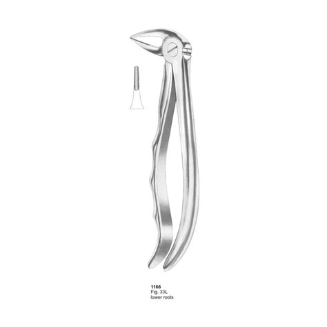 Fig L Lower Roots With Fitting Handle Dental Extracting Forceps