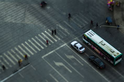 zebra crossing crosswalk images pixabay