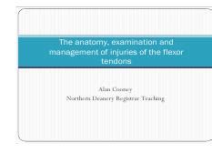 Flexor Tendon Injuries Pdf The Anatomy Examination And Management Of