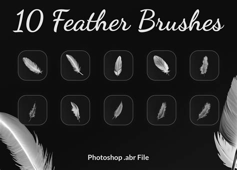 Feather Brushes Photoshop Graphic By Amine Sefi · Creative Fabrica