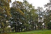 Category Park Around Brunicki Palace In Velykyi Liubin Wikimedia Commons