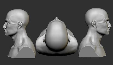 Male Head 3 3d Model 3d Printable Cgtrader