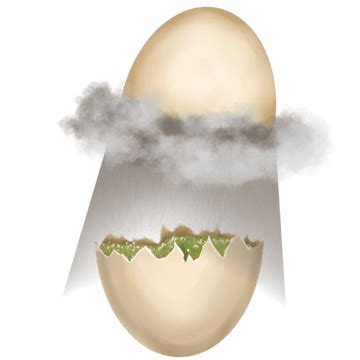 Broken Egg Cracked Egg Broken, Broken Egg Crack Broken Egg, Egg Shell ...