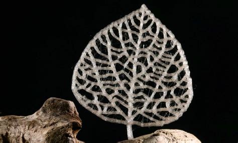 plant based plastic  scientific development   change  world