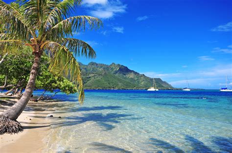 Moorea Hotel Packages | Moorea Tahiti Hotels & Resorts