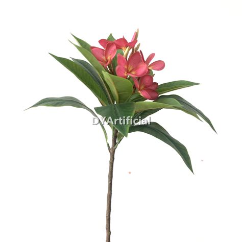 florida tree pink flowers 9