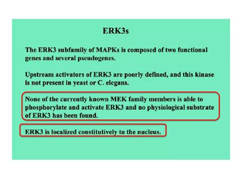 MAPK pathway, | PPT