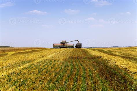 harvesting . agricultural field. 9429788 Stock Photo at Vecteezy