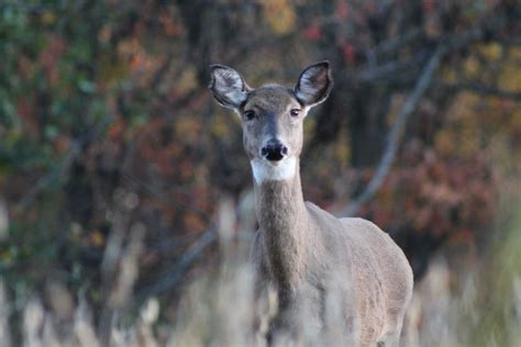 The Season Is OverWhat Did You Learn Heartland Lodge