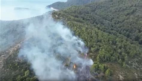 Incendio A Baia San Felice Vicino Vieste Paura Per Oltre Turisti