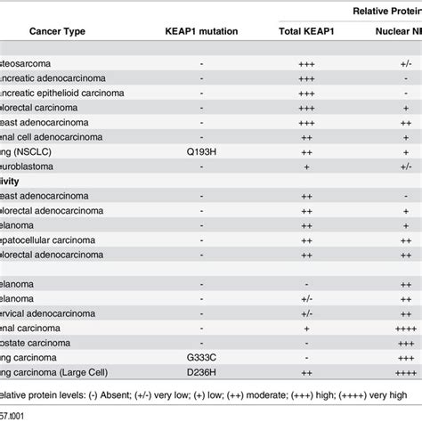 Characteristics Of Human Tumor Cell Lines With Different Levels Of