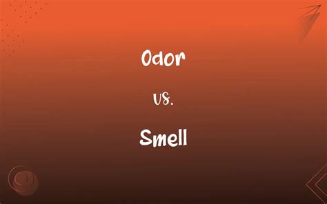 Odor vs. Smell: What’s the Difference?