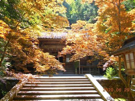 柴神社 吉田郡永平寺町松岡春日 神社 Yahoo マップ