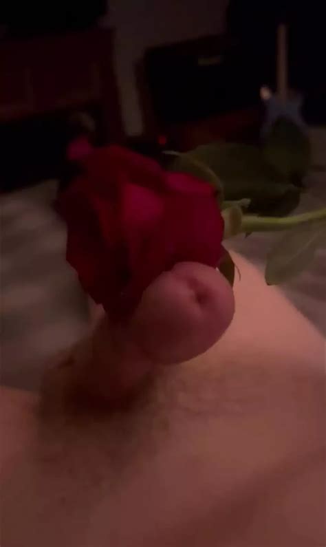 Edged By Her Rose Gay Amateur Amateur Porn Feat Xxxthatswhatsup