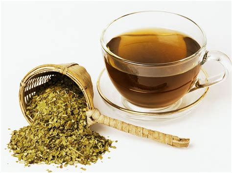 Mate Tea recipe | Eat Smarter USA