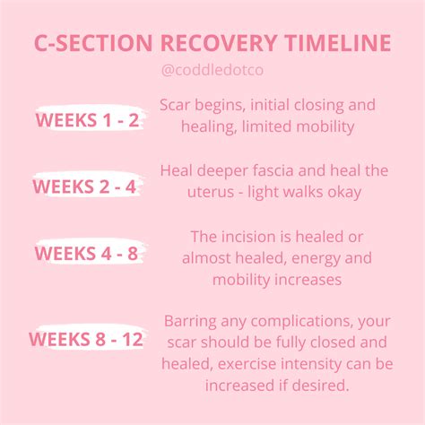 Timeline Of Postpartum Recovery Artofit