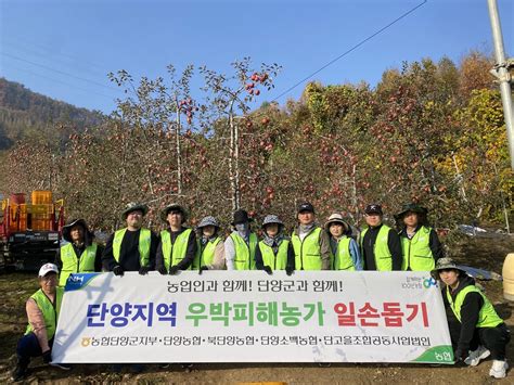 단양지역 농협 임직원 우박 피해농가 복구 구슬땀