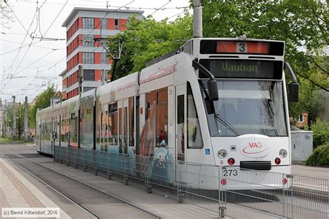 Deutschland Straßenbahn Freiburg im Breisgau Triebwagen 273