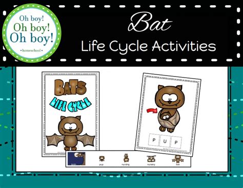 Bat Life Cycle Activities by Teach Simple