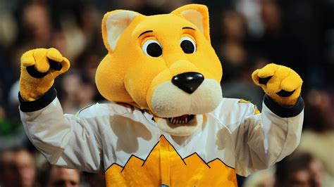 How Much Money Does Rocky The Mascot Of The Denver Nuggets Make A