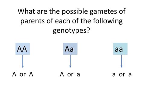 Ppt Genetics Powerpoint Presentation Free Download Id5715614