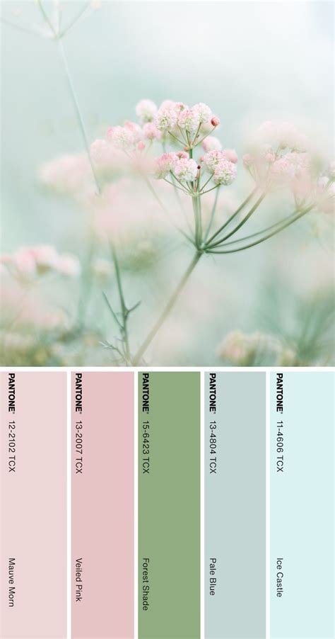 Pantone Color Palette #pantone #color #palette #pastel | Pantone colour ...