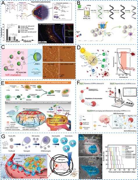 Mnms For Bbb Crossing And Cns Diseases Treatment A Chemotactic