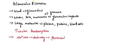 SOLVED: Glomerular filtrationa. Urine formation begins when water and dissolved materials filter ...