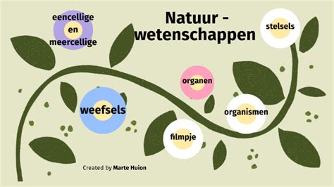 Prezi Eencellige En Meercellige Organismen Marte Huion By Marte Huion