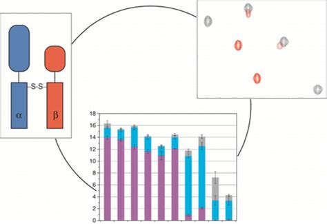 Construction Of Covalent Membrane Protein Complexes And High Throughput