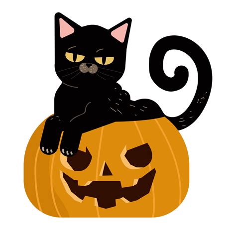 Halloween Cat With Pumpkin Png Images Transparent Hd Photo Clipart