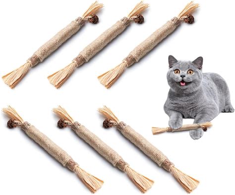 Amazon Potaroma Pcs Natural Silvervine Sticks Cat Toys Catmint