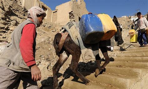 Water Crisis In Afghanistan Over Million People In Afghanistan Lack