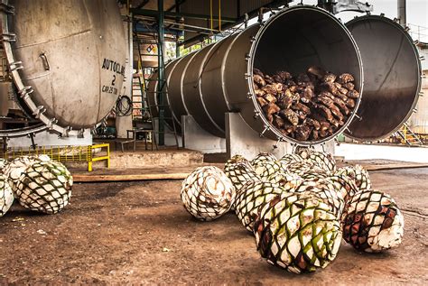 3 Diferencias Entre El Mezcal Artesanal Y El Mezcal Ancestral