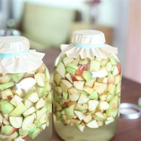 How To Make Homemade Apple Cider Vinegar Gracefully Home