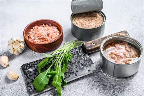 Qual O Melhor Atum Enlatado Para Dieta - É possível incluir o atum em lata na dieta? Qual a melhor opção?