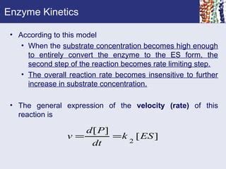 Enzyme Kinetics Ppt