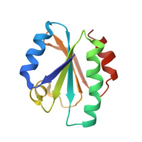 Rcsb Pdb Trw The High Resolution Three Dimensional Solution